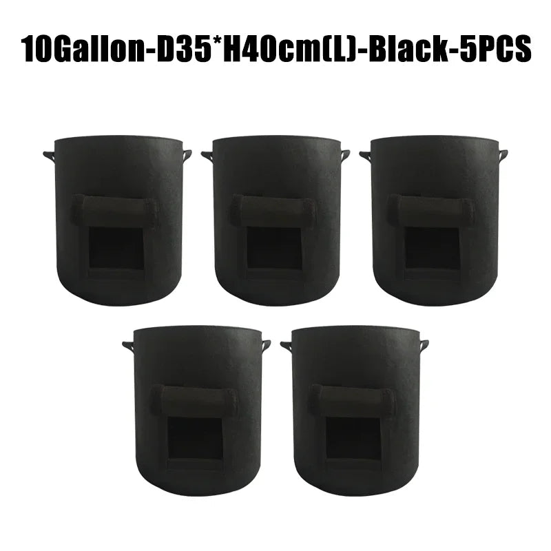 10 gallon black 5 pcs