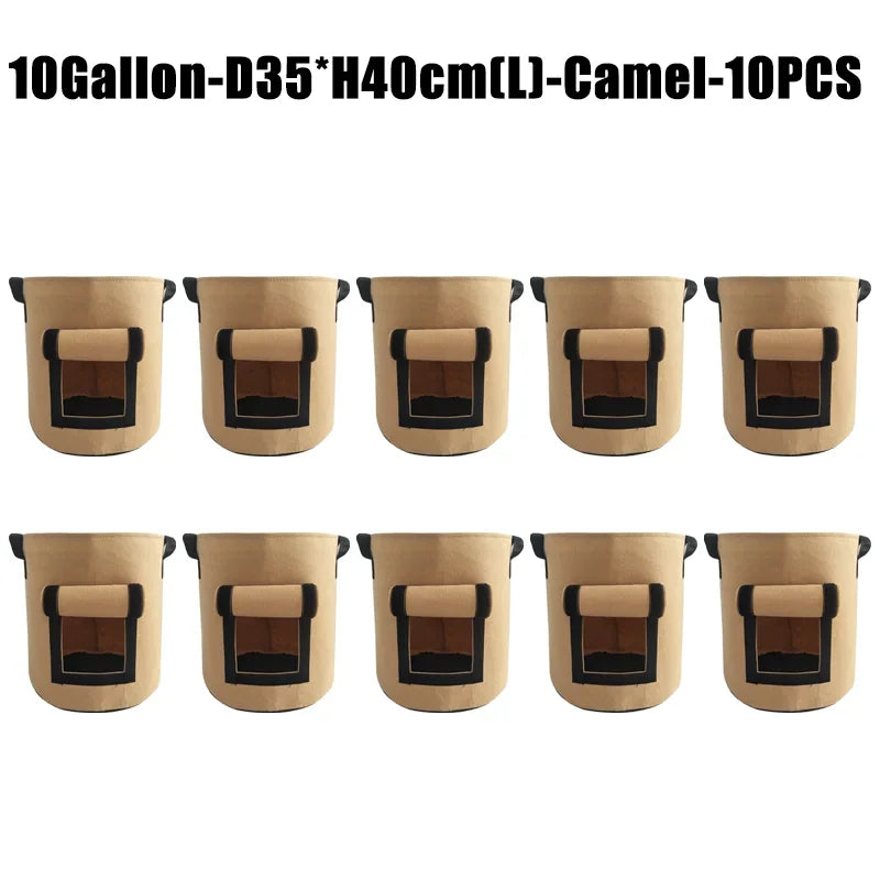 10 gallon camel 10 pcs