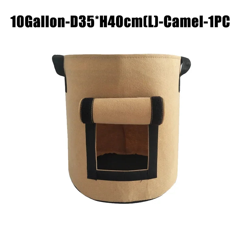 10 gallon camel 1 pcs