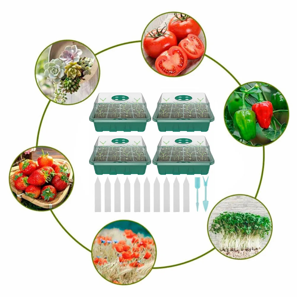 4 x 12-Cell Seed Starter Trays Vegetables
