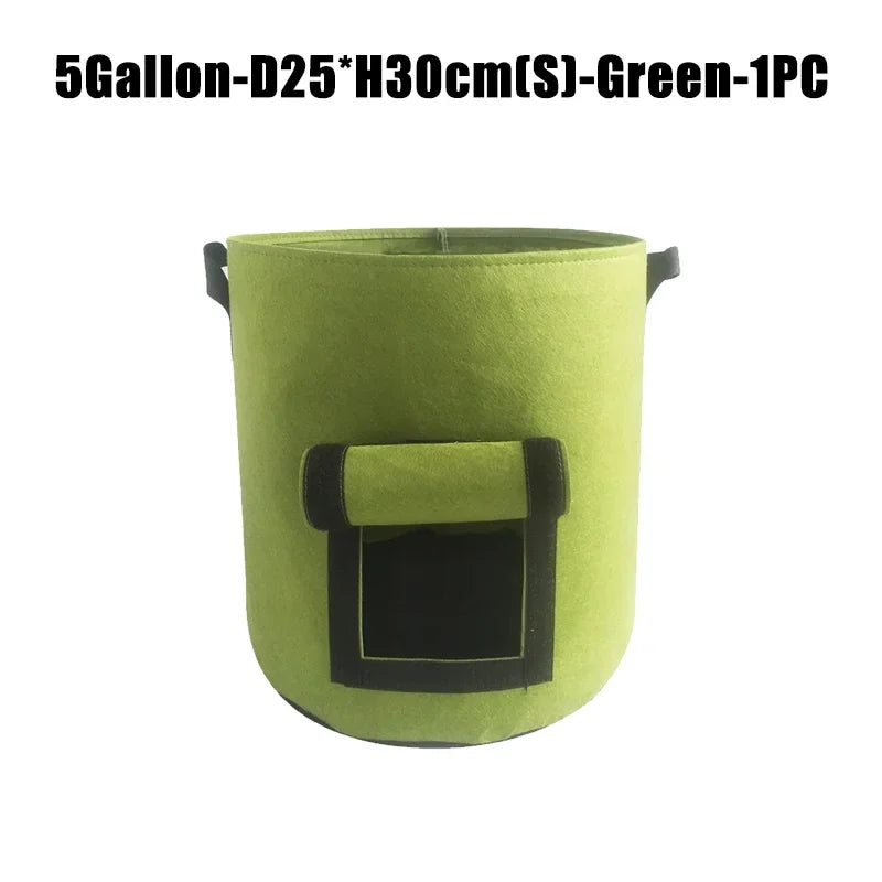 5 gallon