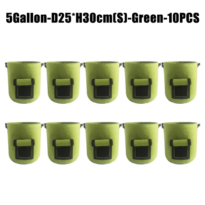 5 gallon 10 pcs