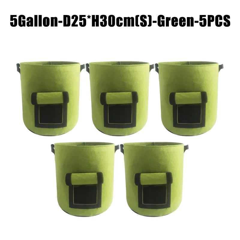 5 gallon 5 pcs