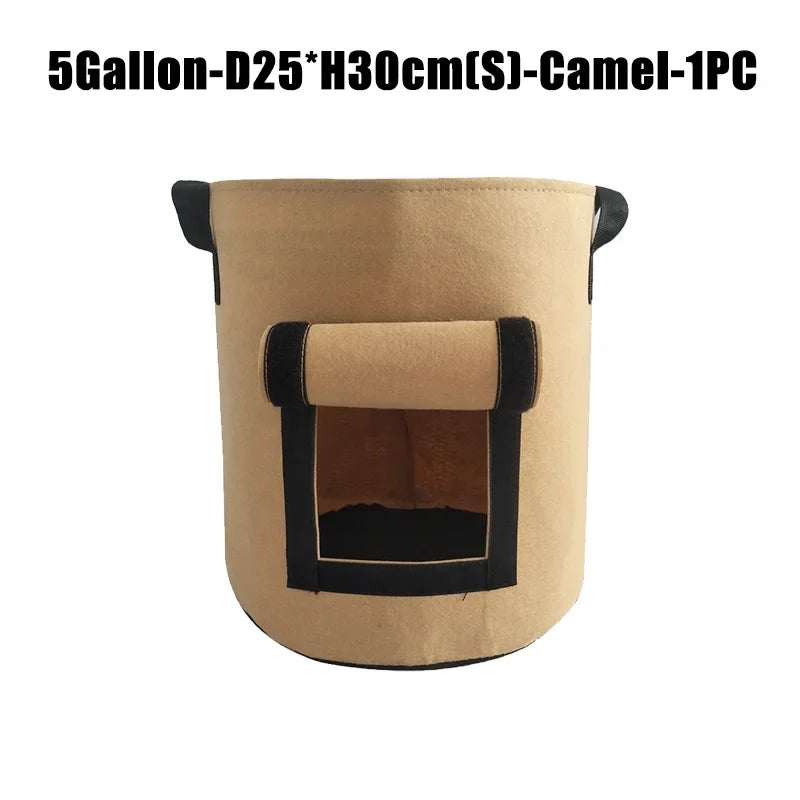 5 gallon camel 1pc