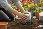 Biodegradable plant bags