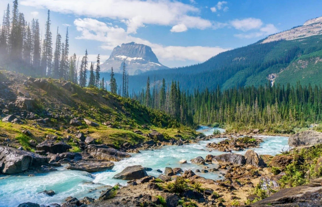 Canadian Rockies with a river and trees