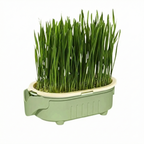 Natural Cat Grass Growing Kit for Hairball Relief & Healthy Digestion – Reusable Planter Bowl Set (Seeds Not Included)