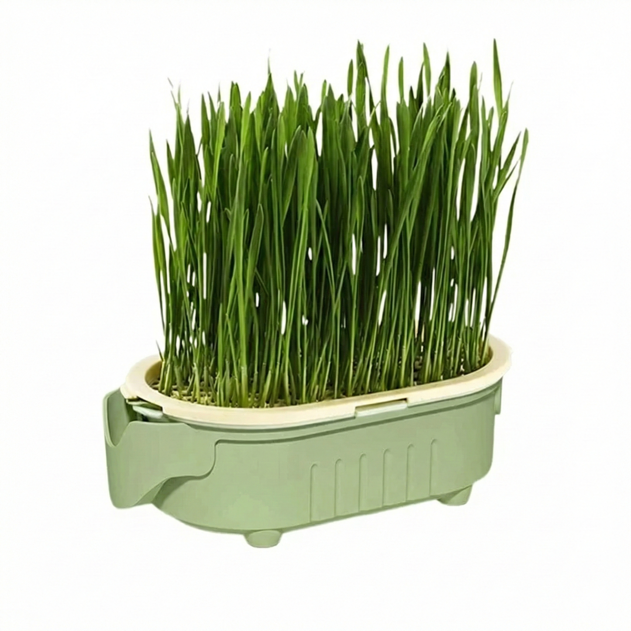 Natural Cat Grass Growing Kit for Hairball Relief & Healthy Digestion – Reusable Planter Bowl Set (Seeds Not Included)