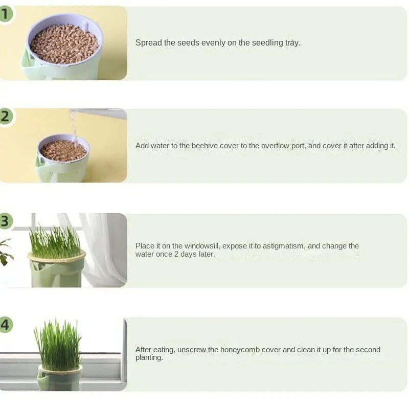 Hydroponic Cat Grass Kit Information