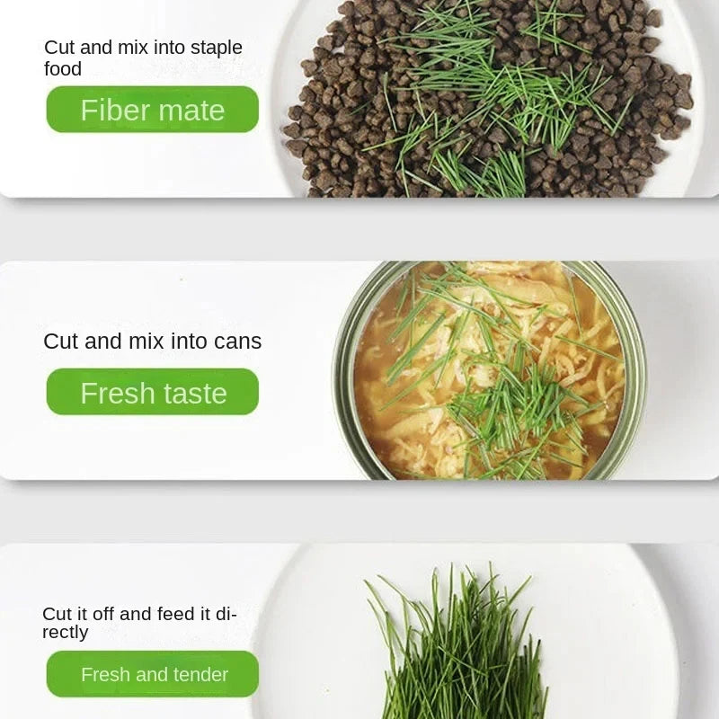 Hydroponic Cat Grass Kit Information How to