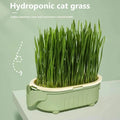 Natural Cat Grass Growing Kit for Hairball Relief & Healthy Digestion – Reusable Planter Bowl Set (Seeds Not Included)