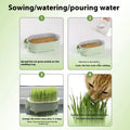 Natural Cat Grass Growing Kit for Hairball Relief & Healthy Digestion – Reusable Planter Bowl Set (Seeds Not Included)