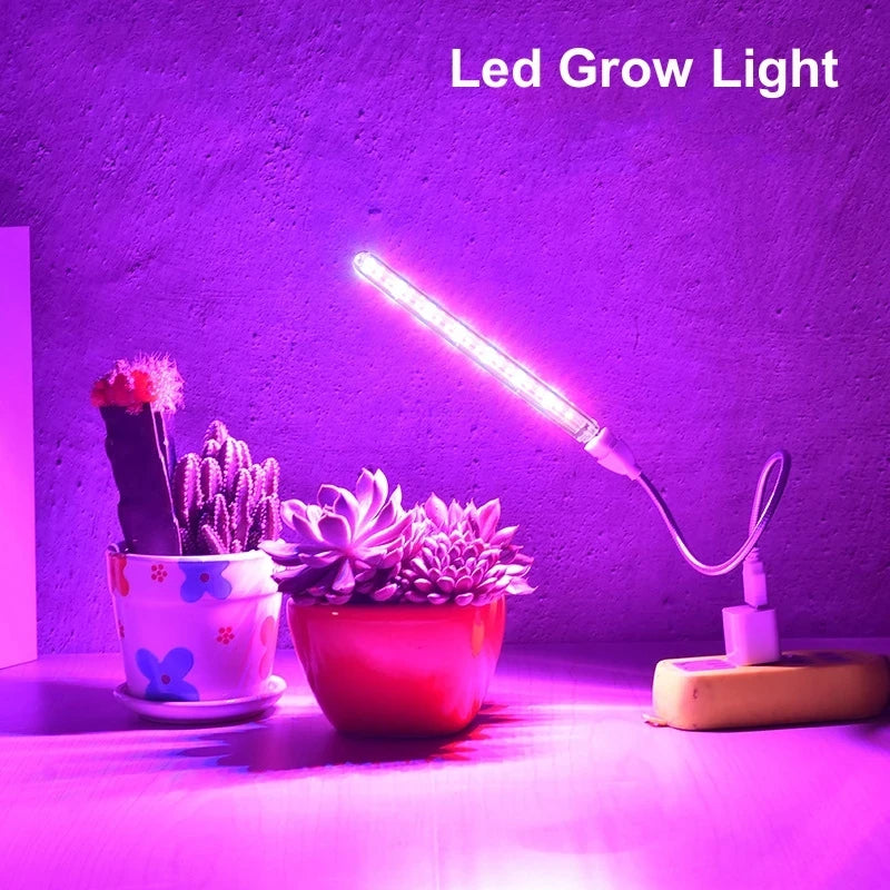 LED Grow Light