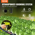 NFT Hydroponic Pipeline System | High-Yield Indoor & Outdoor Planter