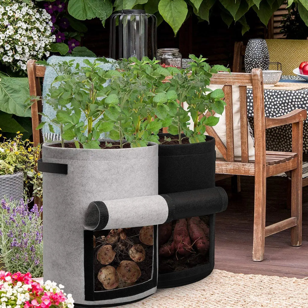 S06a25a2d667f4efdb1b17a4257c09239y