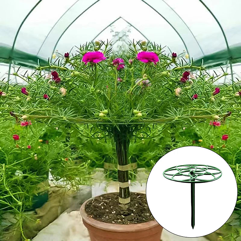 S1807dbbc35ea4f92a1f9ed3c51d343d4N