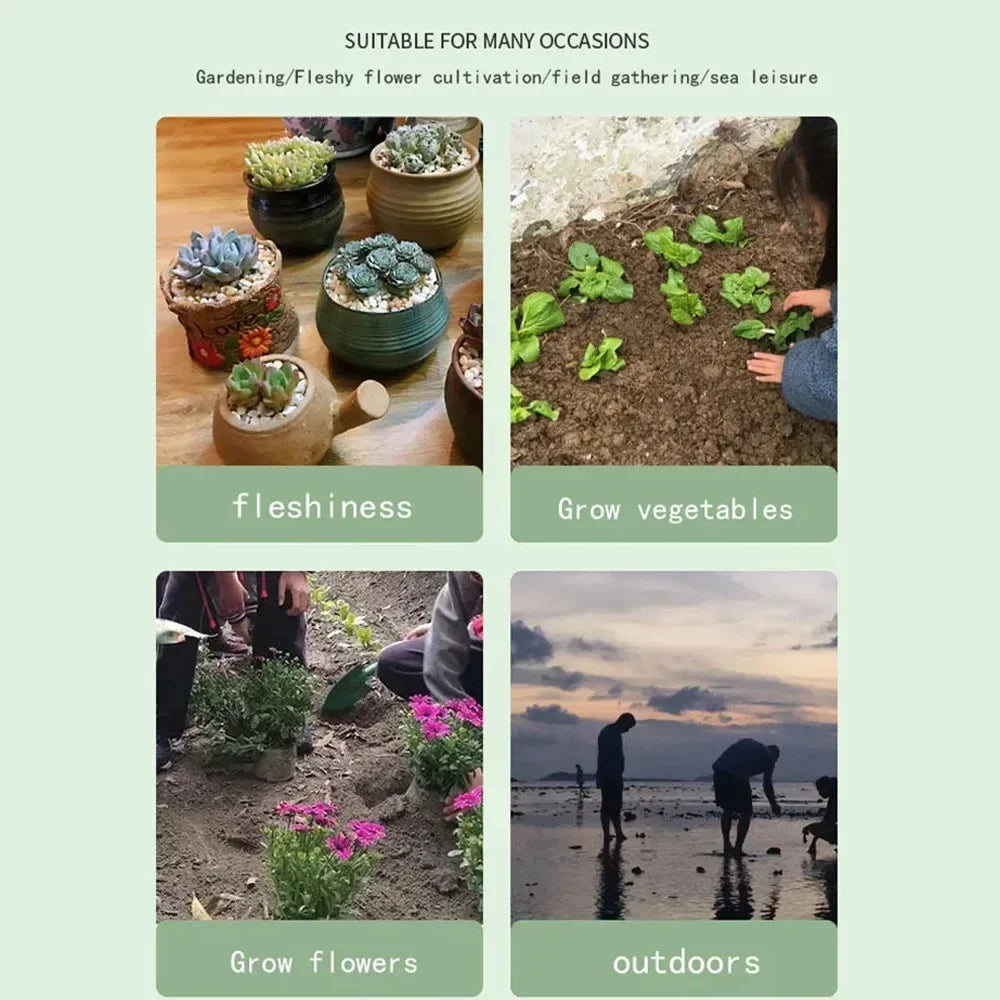 S4486fb34025b40c68eca5ffe25ab2accy