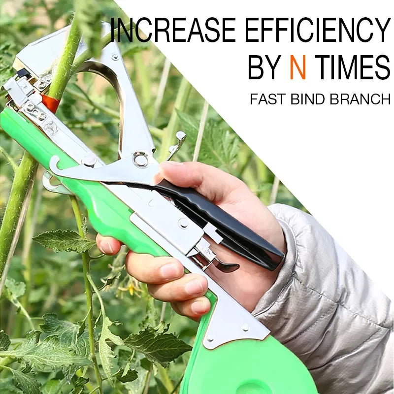 S62f3baba31ed4ff09a8cd52ce8d7c1d8h