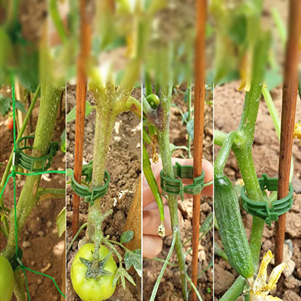 S6dd8833f97b8403685d5679d94b63d6fC