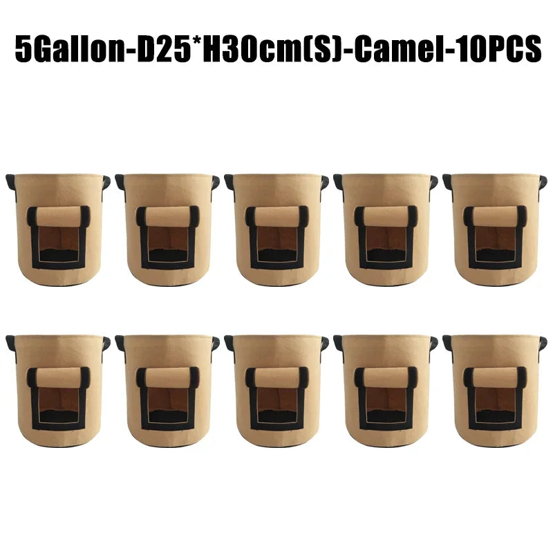 S9adc5e0dfd924c1fb235fc371fa8041dn