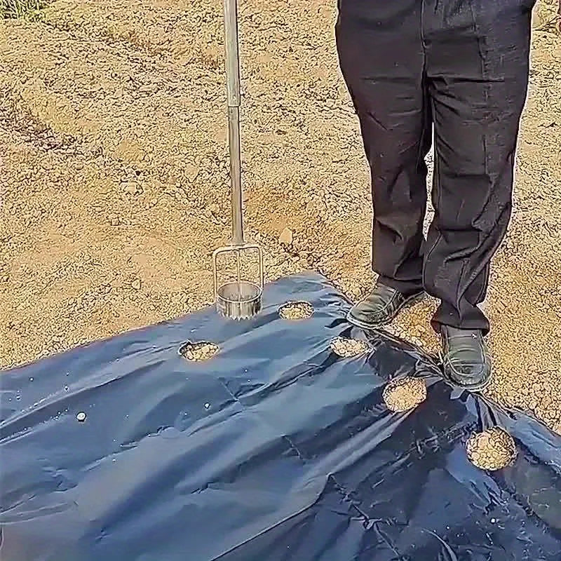 Sba221f3e55394439a6b706bd84fd9583R