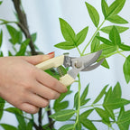 Sefd6b2f3f78c4863947e18758245082eA