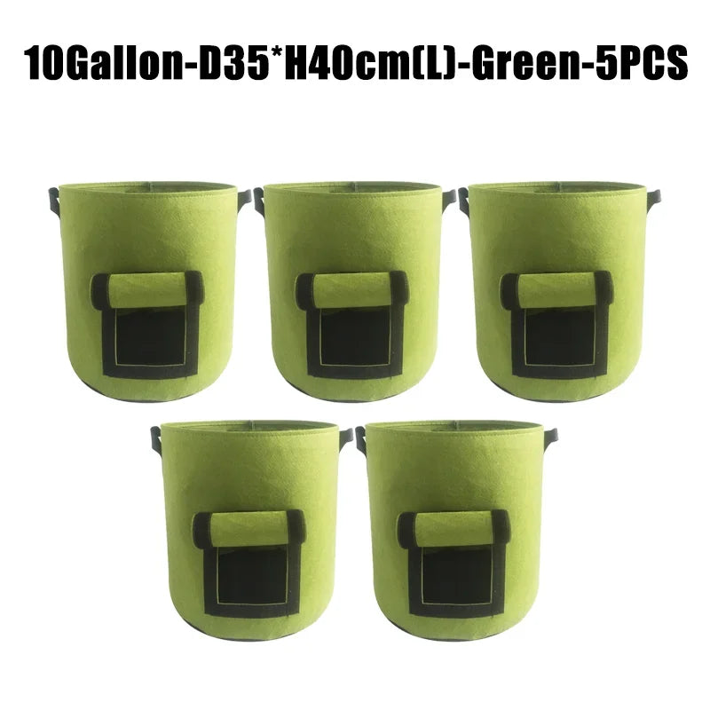 Sf56672460e9546f5be3eb2f9f551151e5