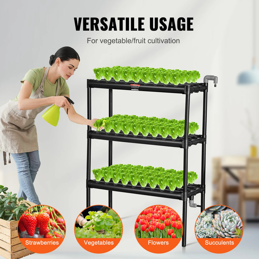 Versatile Vegetables and fruit usage