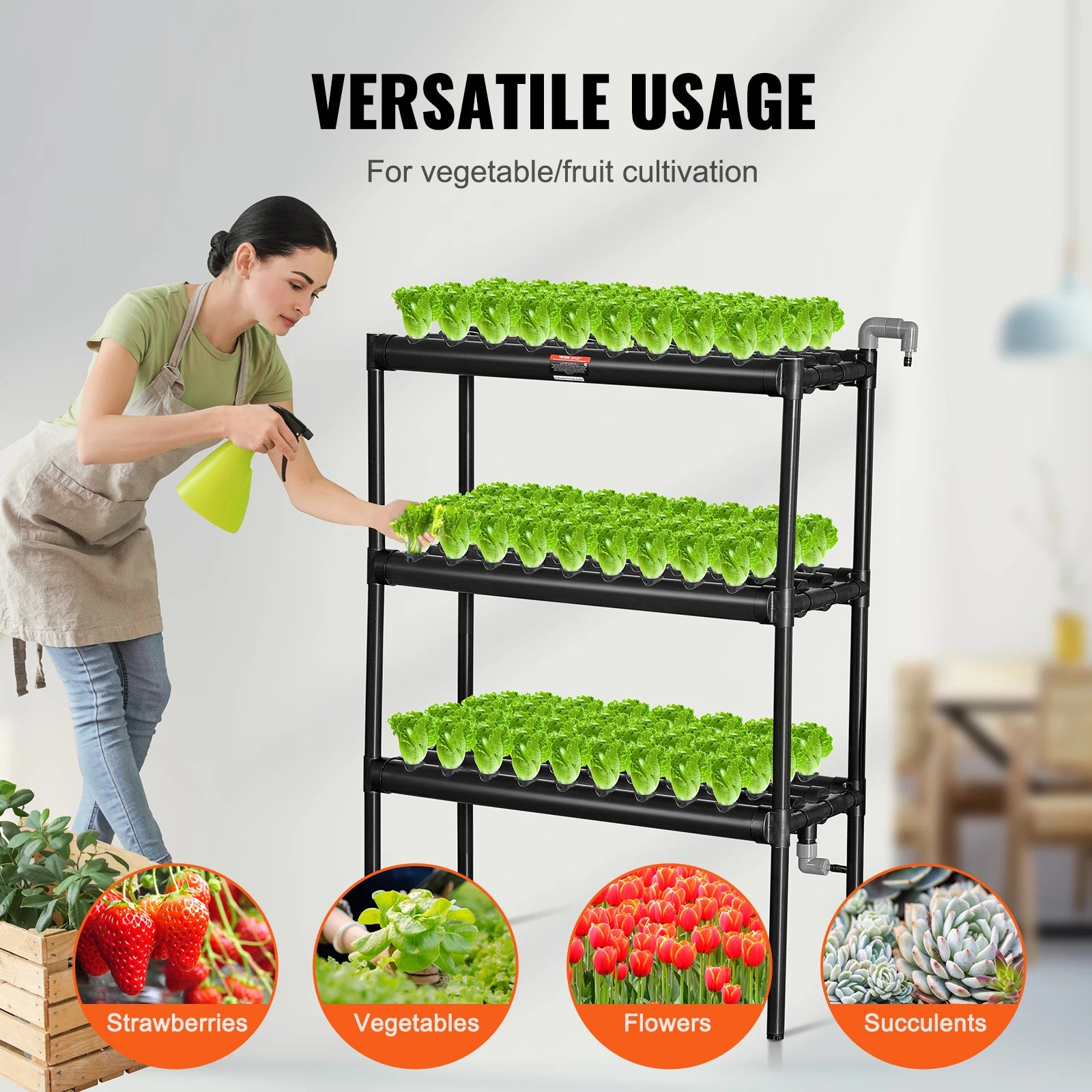 Versatile Vegetables and fruit usage